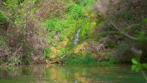 Stream in the Spring (4K)