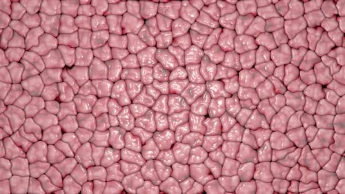 Abstract Biological Cell Tissue Pulsating Animation Loop