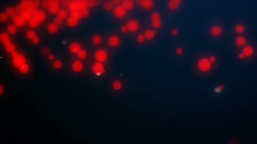 Digital Global Network Data Connection Display