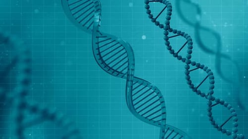 Animated DNA Strands Loop on Scientific Grid Background