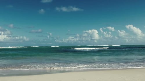 Ocean Hd1
