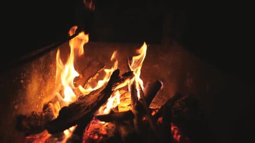 Campfire Burning Brightly in the Darkness