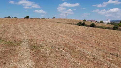 low-flying in FPV mode over a freshly mown wheat field
