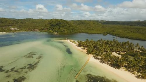 Tropical Beach with and Turquoise Sea