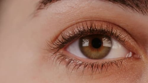 Macro shot of a woman's brown eye opening