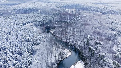 Flying above snowy forest and river in winter