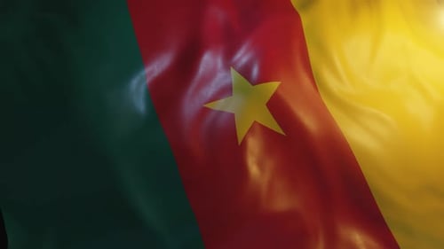 Realistic Waving Flag of Cameroon Loop