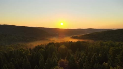 Vibrant Foggy Evening Over Dark Forest Trees at Bright Summer Sunset