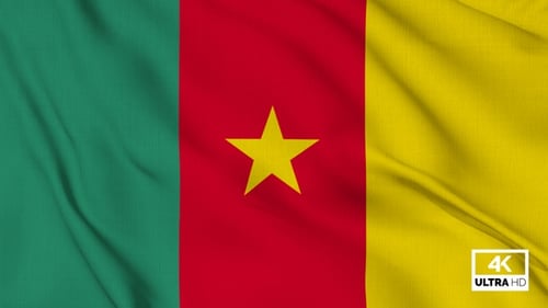 Cameroon National Flag Waving with Realistic Fabric Texture