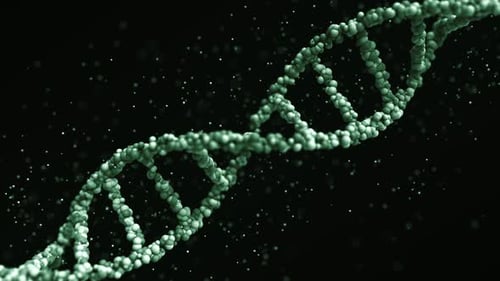 Modèle de molécule d'ADN vert