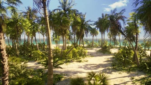 Palm Beach In Tropical Idyllic Paradise Island