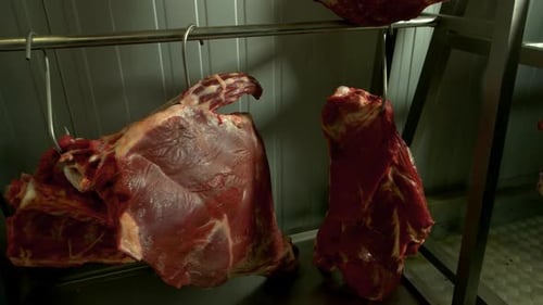 Raw Beef Meat Hanging at Cold Store