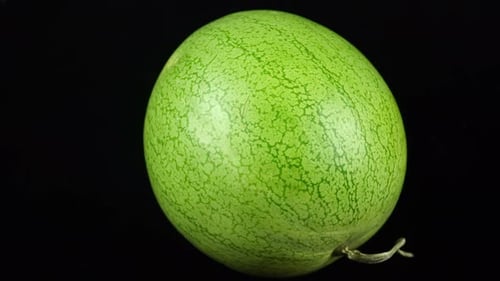 Rotating Marble Watermelon On A Black Background.