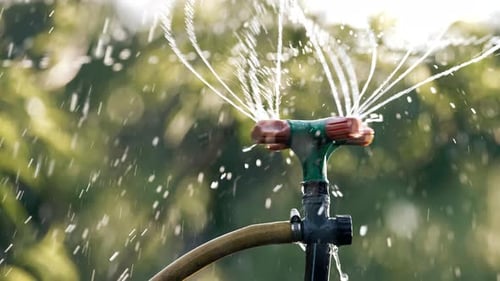 Garden Irrigation System Watering Lawn Grass Flowers and Trees