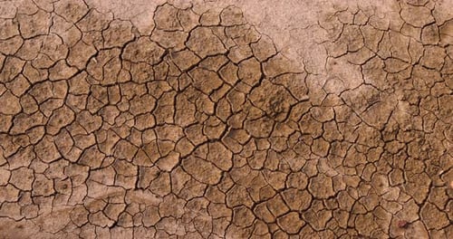 Cracked Dry Earth in a Desert Landscape