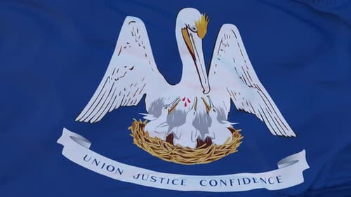 Louisiana State Flag Waving Seamless Loop Animation