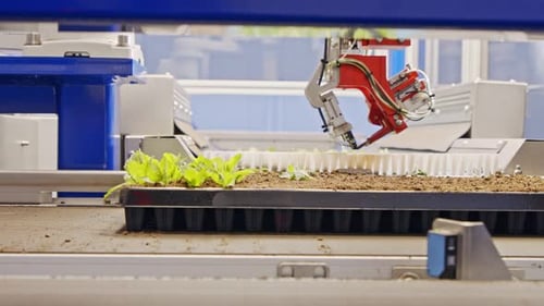 Robotic Arm Planting Seedlings in Automated Agricultural Facility