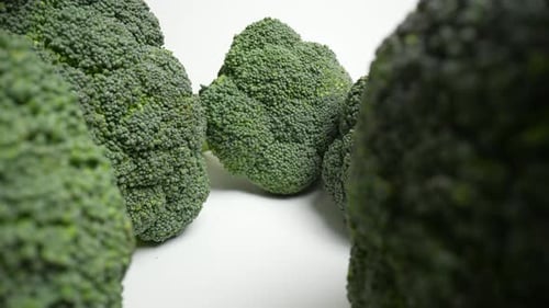 Fresh Green Broccoli 67