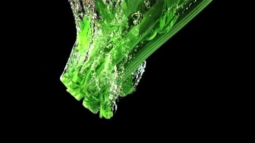 Super Slow Motion Fresh Celery Falls Under the Water with Air Bubbles