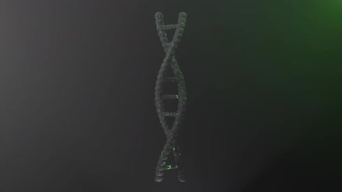 Modern Rotating 3D DNA Double Helix Animation