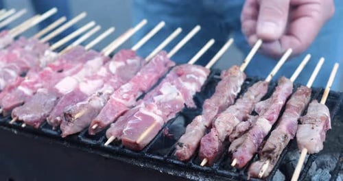 Raw Meat Skewers on a Grill