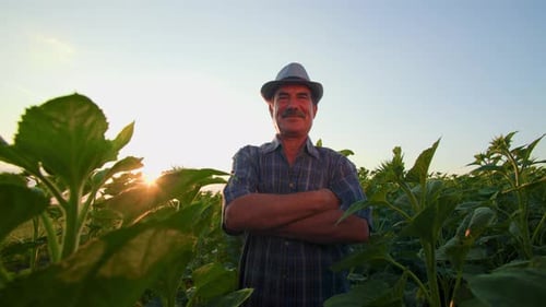 Farmer Standing Proudly in Field at Sunset