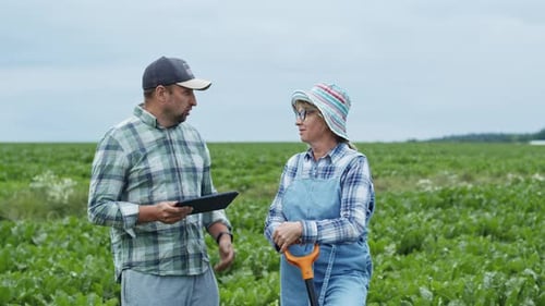 Man And Woman Standing On Field With Beets. They Are Talking.