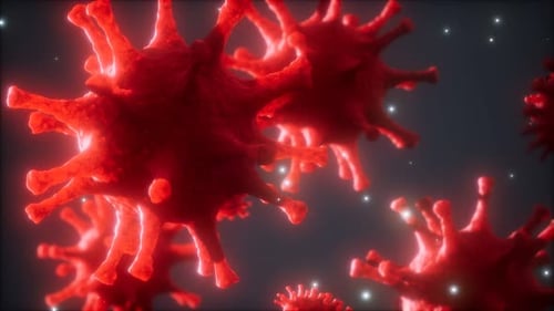 Microscopic Red Viruses Floating and Pulsating Animation