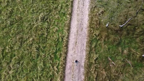 Person Walks on Rural Path Aerial View