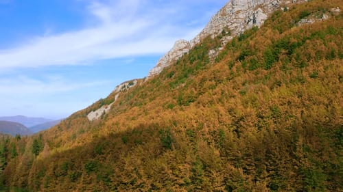 Herbstlicher Wald