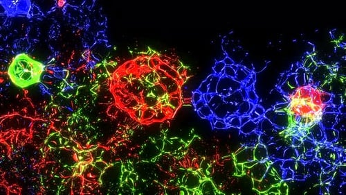 Vibrant Neon Fluid Particles Abstract Animated Background Loop