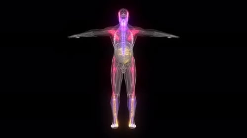 Abstract Male Anatomy 4k