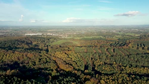 Drone shot of countryside and forest wood in autumn at sunset
