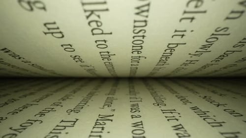 Macro View Inside Gutter of Open Book