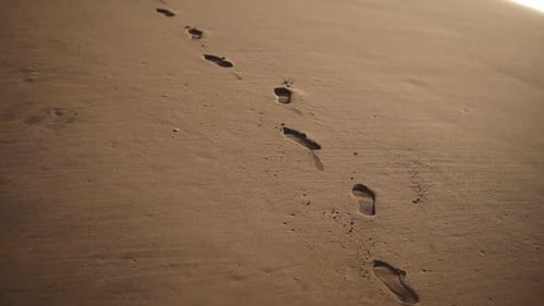 Tracking Closeup Footage of Footprints on the Golden Wet Sand at Beach