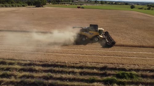 Harvesting Wheat Field