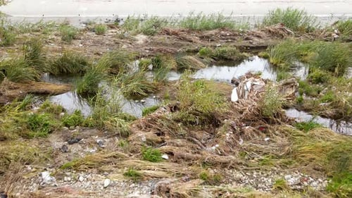Luftaufnahme von Müll im Los Angeles River