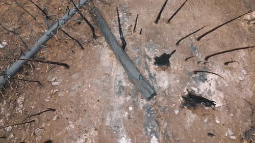 Consequences of Controlled Fire for Restoring and Maintaining Healthy Forests