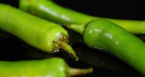 Green Chili Pepper Is on the Water.