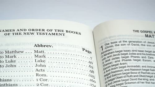 Seiten der Bibel: 24