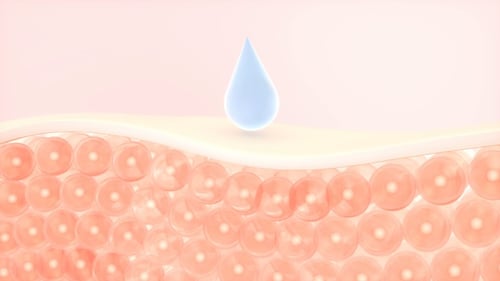 3D Animated Skin Hydration and Moisturizing Absorption Process