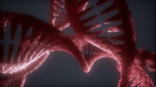 Loop Double Helical Structure of Dna Strand Close-up Animation
