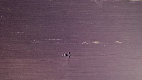 Tractor in the Dust Working in the Field