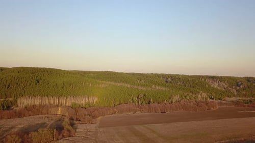 Early Spring Nature Forest From Above