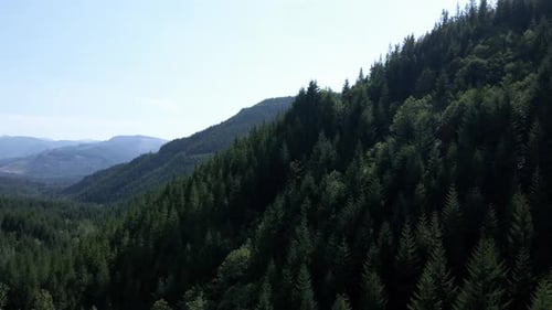 Slowly rising and panning across evergreen forest covered mountain valley, aerial