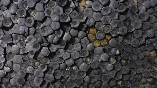 The Giants Causeway lies at the foot of the basalt cliffs along the sea coast on the north shores of