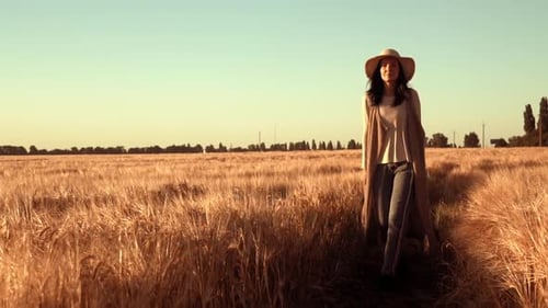 View on Yellow Wheat at Harvest Time Landholder Walks at Sunset Light