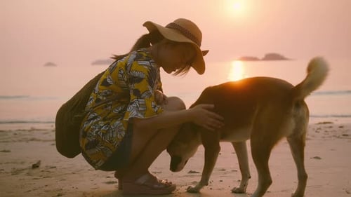 asian female girl hugging petting dog. Lonely happiness woman relaxing at the beach