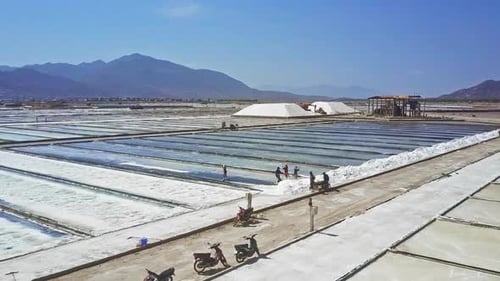 Workers Harvesting Salt at Rural Salt Farm