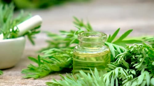 Herbal Remedy Still Life with Bottle and Mortar